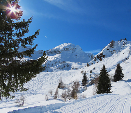 Sulle nevi di San Simone (1700 m) e Baita del Camoscio (1750 m) splende il sole -17febb25- FOTOGALLERY